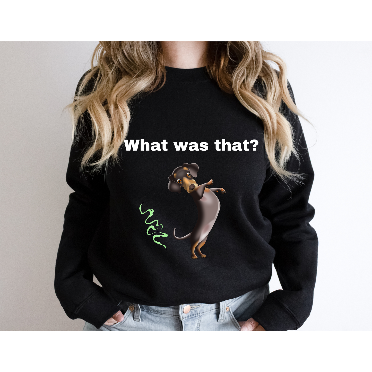 What is That? Dachshund Sweatshirt, Dachshund Lovers, Pet Moms Sweatshirt, Pet Dads Sweatshirt, Unisex Sweatshirt